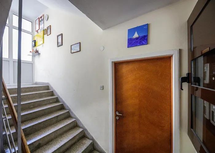 Dita Дубровник